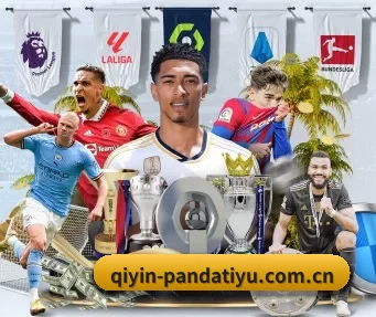 qiyin-pandatiyu.com.cn APP